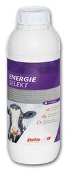 Energie Selekt